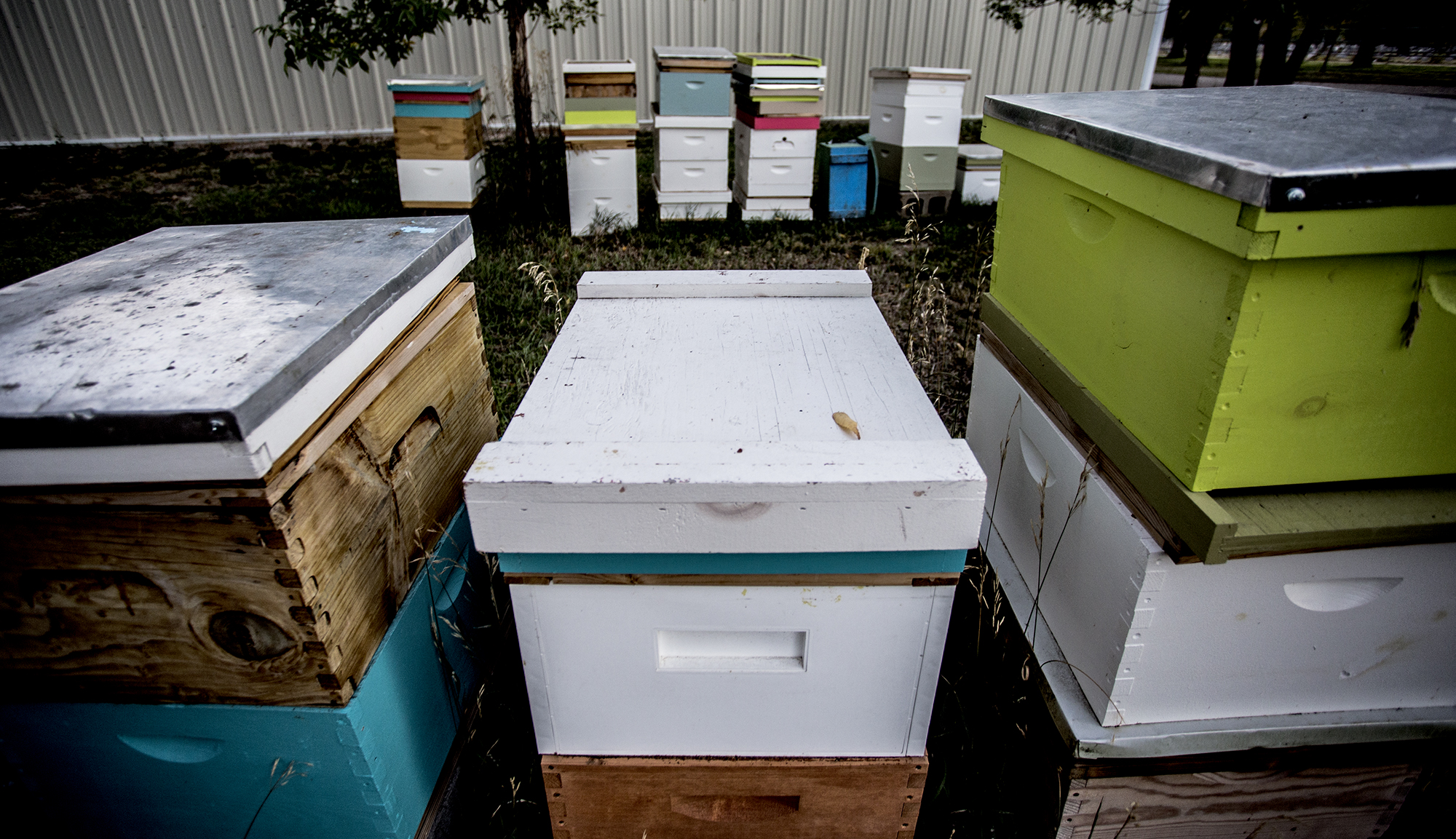 Beehive boxes